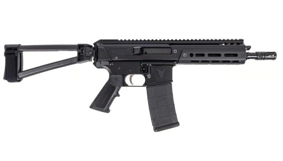 PALMETTO STATE ARMORY  (JAKL)